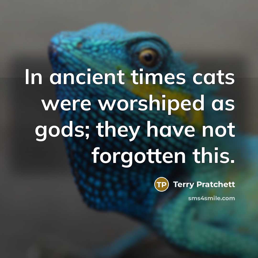 “In ancient times cats were worshiped as gods; they have not forgotten this.” quote by Terry Pratchett