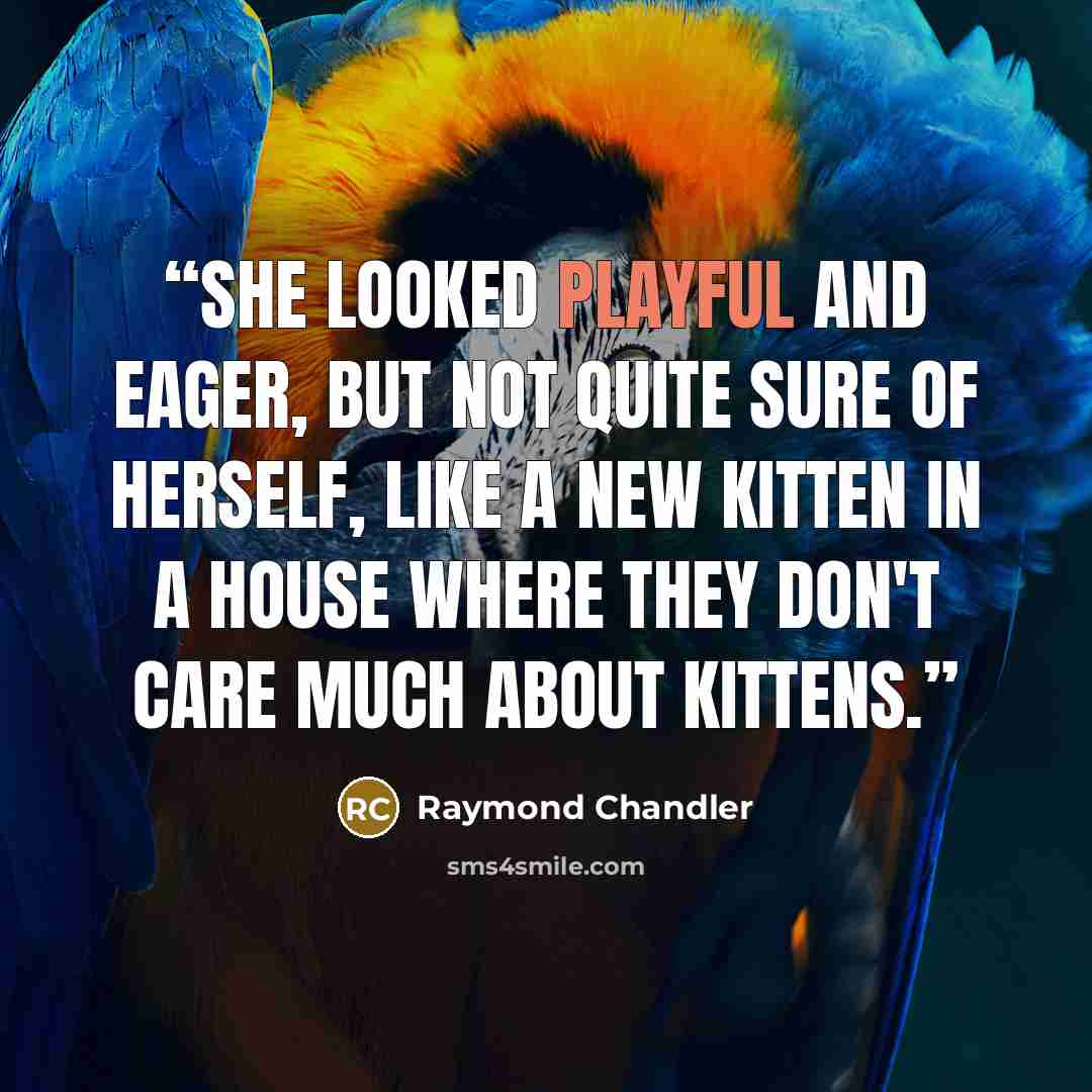 “She looked playful and eager, but not quite sure of herself, like a new kitten in a house where they don't care much about kittens.” quote by Raymond Chandler