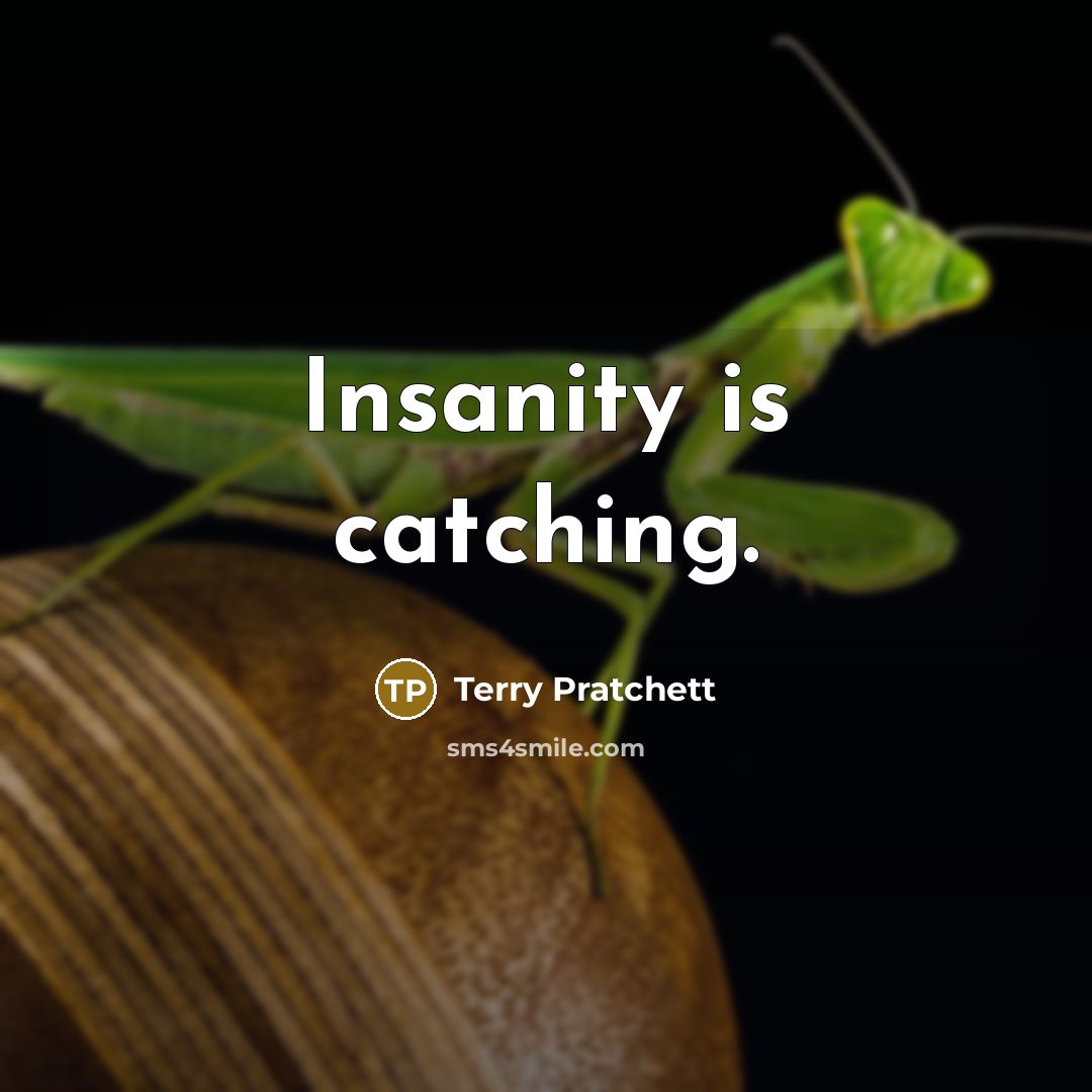 “Insanity is catching.” quote by Terry Pratchett