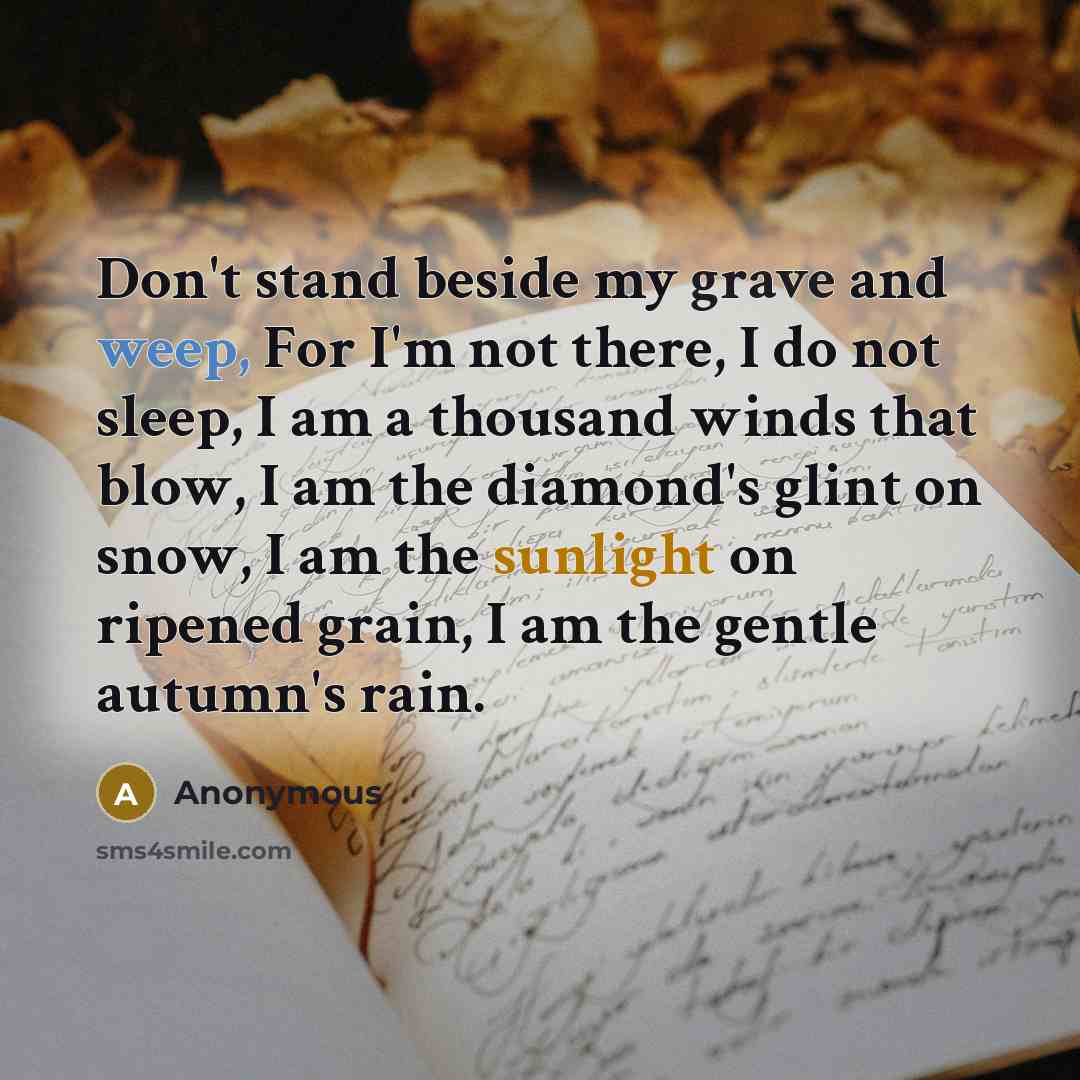 “Don't stand beside my grave and weep, For I'm not there, I do not sleep, I am a thousand winds that blow, I am the diamond's glint on snow, I am the sunlight on ripened grain, I am the gentle autumn's rain.” quote by Anonymous