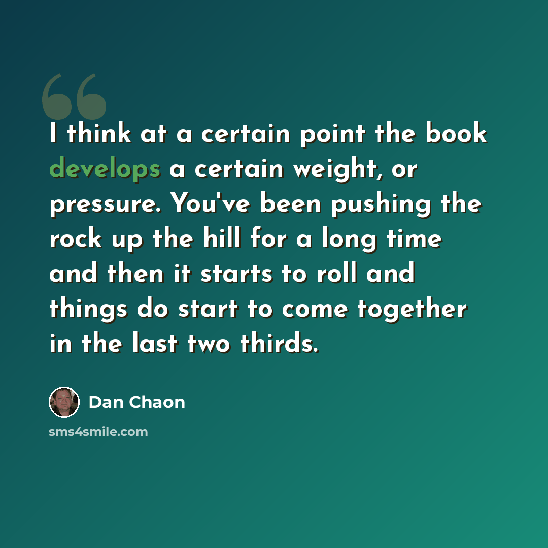 “I think at a certain point the book develops a certain weight, or pressure. You've been pushing the rock up the hill for a long time and then it starts to roll and things do start to come together in the last two thirds.” quote by Dan Chaon