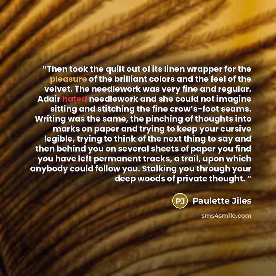 “Then took the quilt out of its linen wrapper for the pleasure of the brilliant colors and the feel of the velvet. The needlework was very fine and regular. Adair hated needlework and she could not imagine sitting and stitching the fine crow’s-foot seams. Writing was the same, the pinching of…” quote by Paulette Jiles