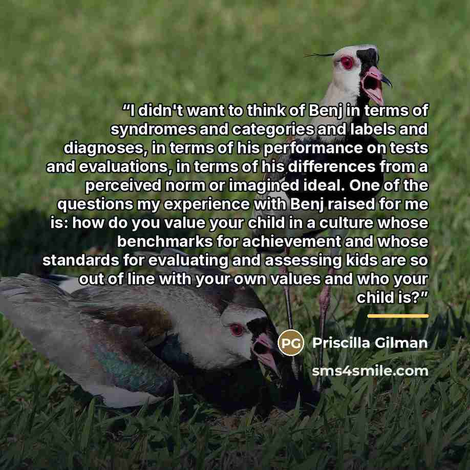 “I didn't want to think of Benj in terms of syndromes and categories and labels and diagnoses, in terms of his performance on tests and evaluations, in terms of his differences from a perceived norm or imagined ideal. One of the questions my experience with Benj raised for me is: how do you value…” quote by Priscilla Gilman