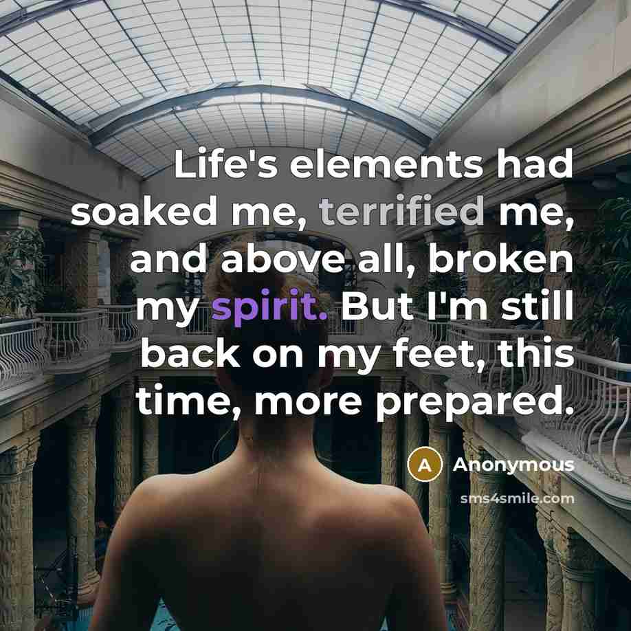 “Life's elements had soaked me, terrified me, and above all, broken my spirit. But I'm still back on my feet, this time, more prepared.” quote by Anonymous