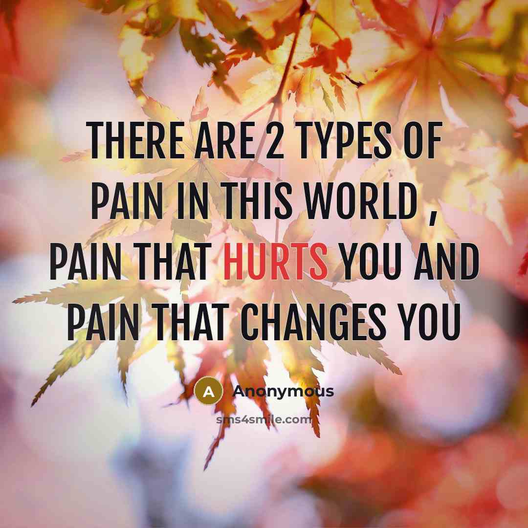 “There are 2 types of pain in this world , pain that hurts you and pain that changes you” quote by Anonymous