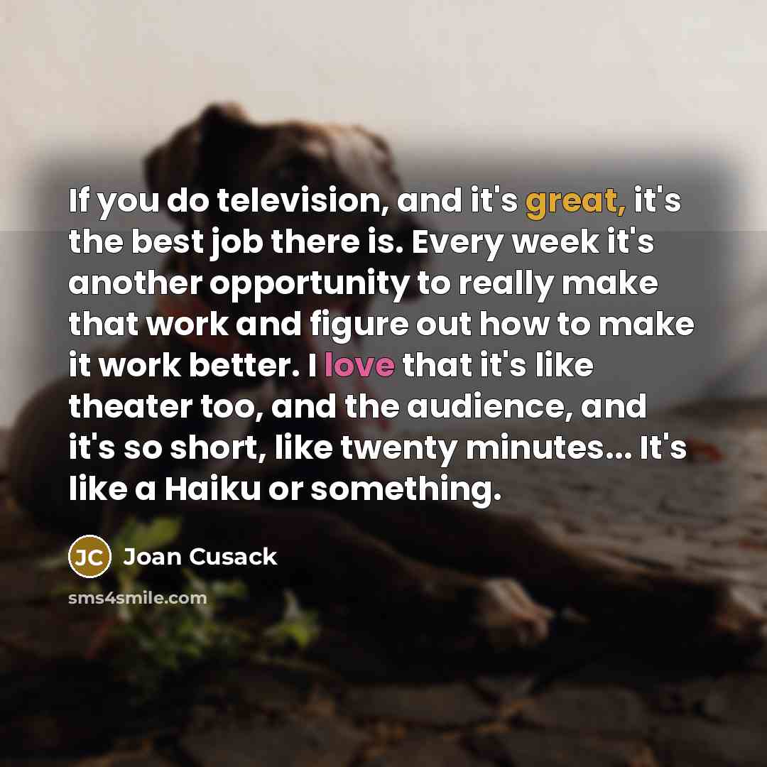 “If you do television, and it's great, it's the best job there is. Every week it's another opportunity to really make that work and figure out how to make it work better. I love that it's like theater too, and the audience, and it's so short, like twenty minutes... It's like a Haiku or something.” quote by Joan Cusack