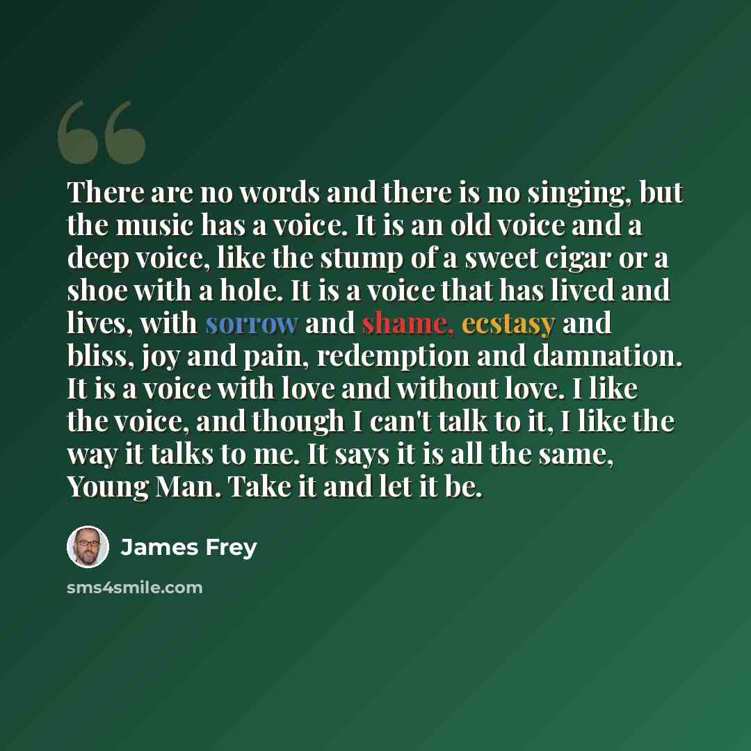 “There are no words and there is no singing, but the music has a voice. It is an old voice and a deep voice, like the stump of a sweet cigar or a shoe with a hole. It is a voice that has lived and lives, with sorrow and shame, ecstasy and bliss, joy and pain, redemption and damnation. It is a voice…” quote by James Frey