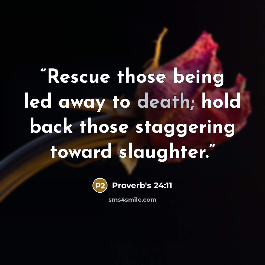 “Rescue those being led away to death; hold back those staggering toward slaughter.” quote by Proverb's 24:11