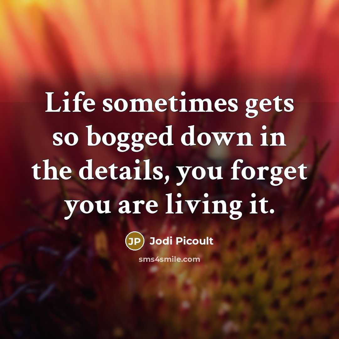 “Life sometimes gets so bogged down in the details, you forget you are living it.” quote by Jodi Picoult