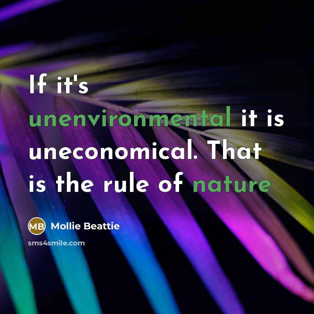 “If it's unenvironmental it is uneconomical. That is the rule of nature” quote by Mollie Beattie