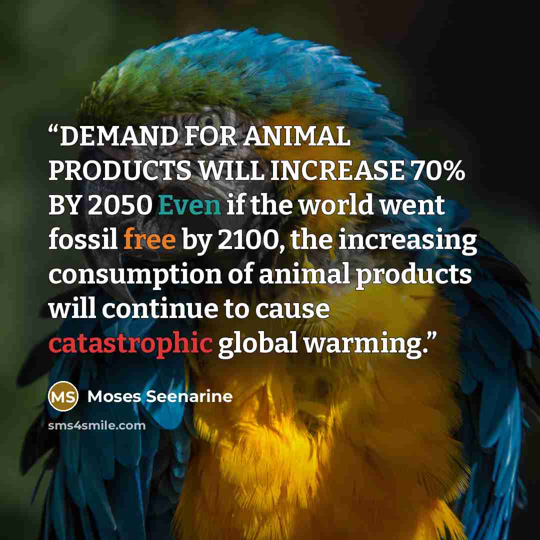 “DEMAND FOR ANIMAL PRODUCTS WILL INCREASE 70% BY 2050 Even if the world went fossil free by 2100, the increasing consumption of animal products will continue to cause catastrophic global warming.” quote by moses seenarine