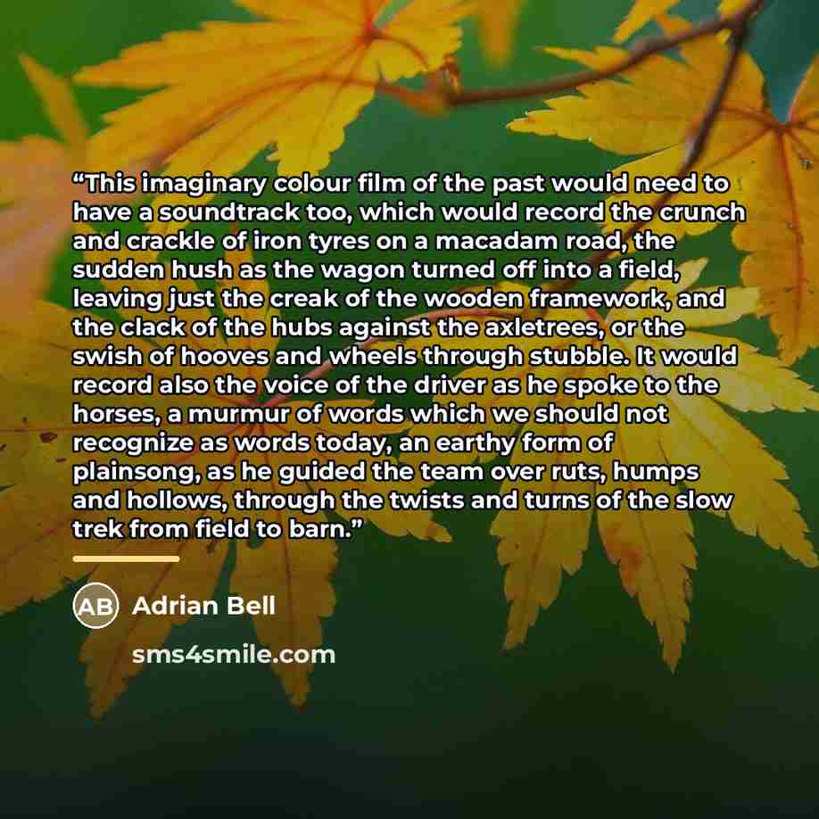 “This imaginary colour film of the past would need to have a soundtrack too, which would record the crunch and crackle of iron tyres on a macadam road, the sudden hush as the wagon turned off into a field, leaving just the creak of the wooden framework, and the clack of the hubs against the…” quote by Adrian Bell