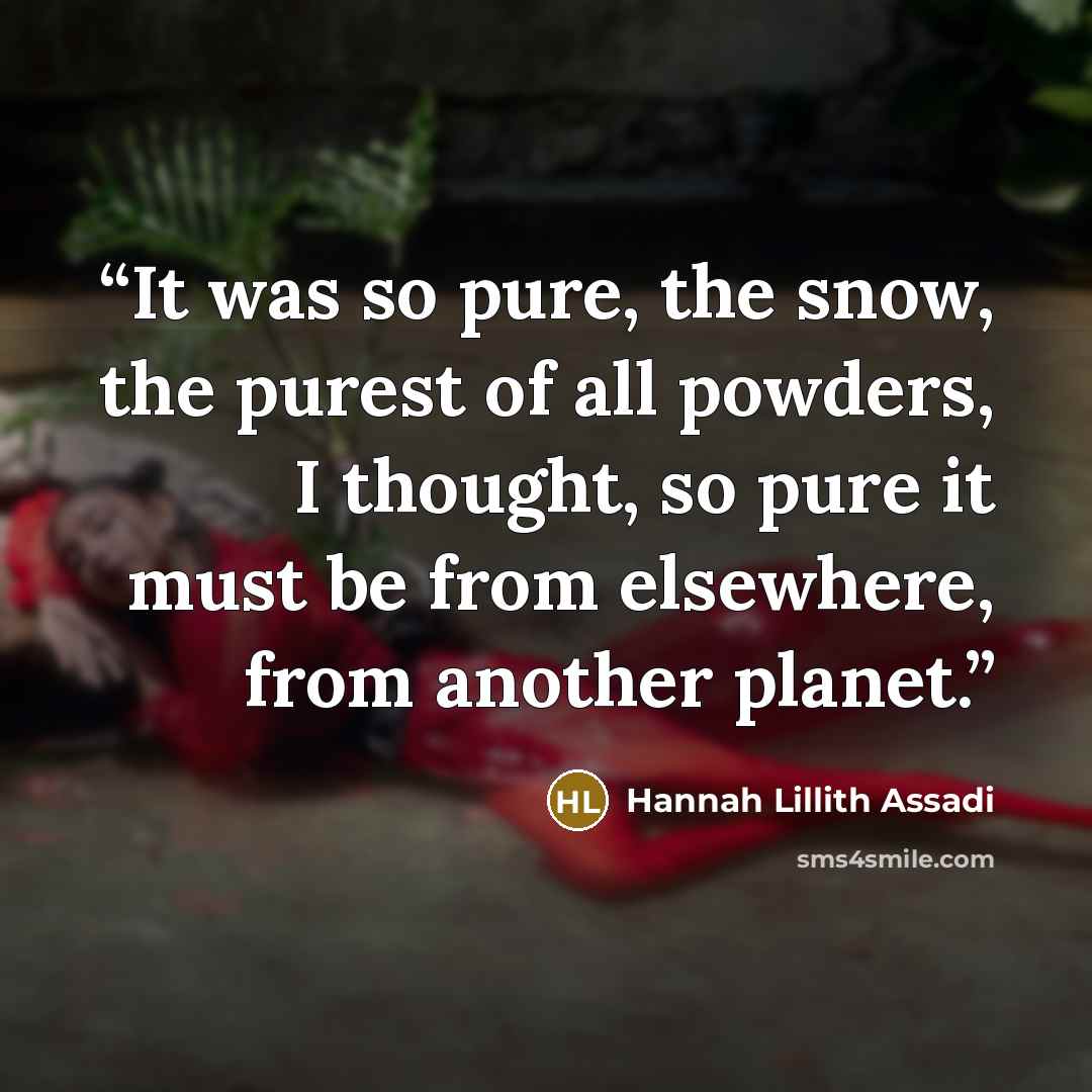“It was so pure, the snow, the purest of all powders, I thought, so pure it must be from elsewhere, from another planet.” quote by Hannah Lillith Assadi