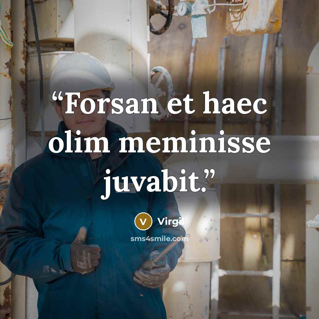 “Forsan et haec olim meminisse juvabit.” quote by Virgil