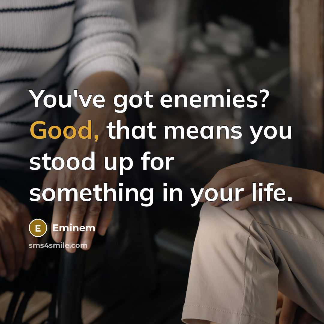 “You've got enemies? Good, that means you stood up for something in your life.” quote by Eminem