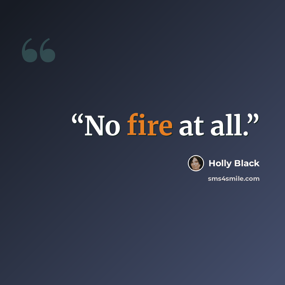 “No fire at all.” quote by Holly Black