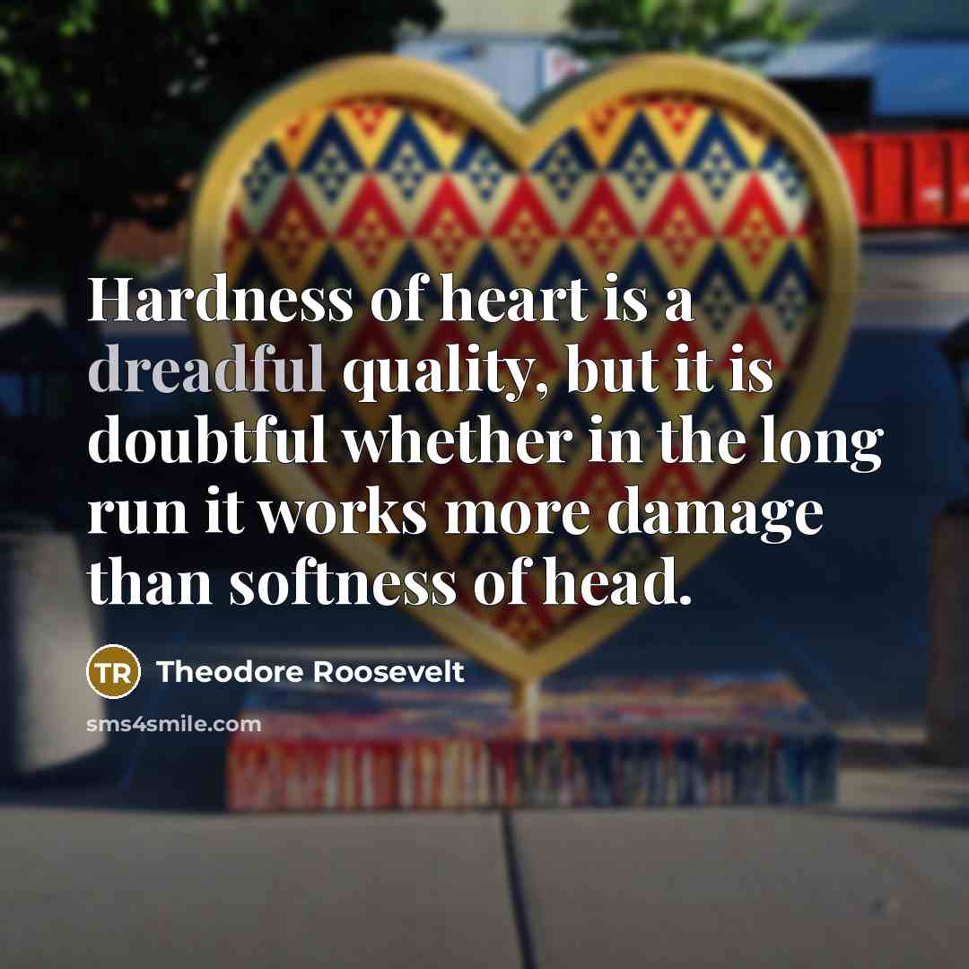 “Hardness of heart is a dreadful quality, but it is doubtful whether in the long run it works more damage than softness of head.” quote by Theodore Roosevelt