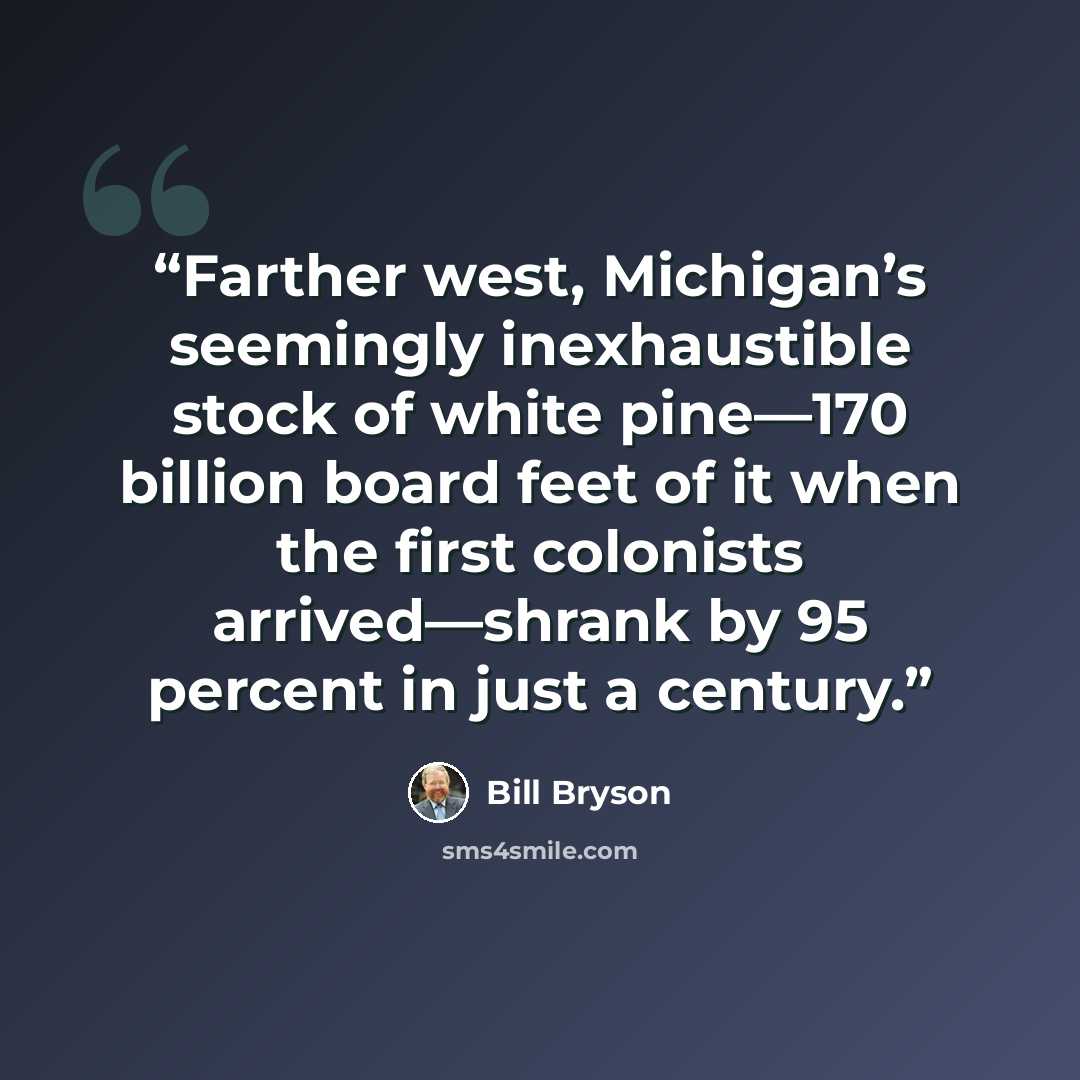 “Farther west, Michigan’s seemingly inexhaustible stock of white pine—170 billion board feet of it when the first colonists arrived—shrank by 95 percent in just a century.” quote by Bill Bryson