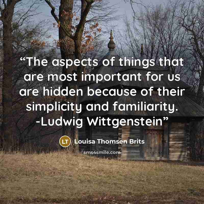 “The aspects of things that are most important for us are hidden because of their simplicity and familiarity. -Ludwig Wittgenstein” quote by Louisa Thomsen Brits