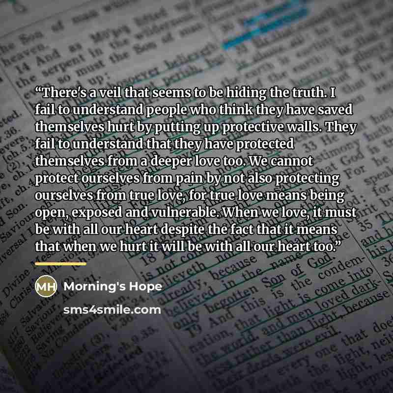 “There's a veil that seems to be hiding the truth. I fail to understand people who think they have saved themselves hurt by putting up protective walls. They fail to understand that they have protected themselves from a deeper love too. We cannot protect ourselves from pain by not also protecting…” quote by Morning's Hope