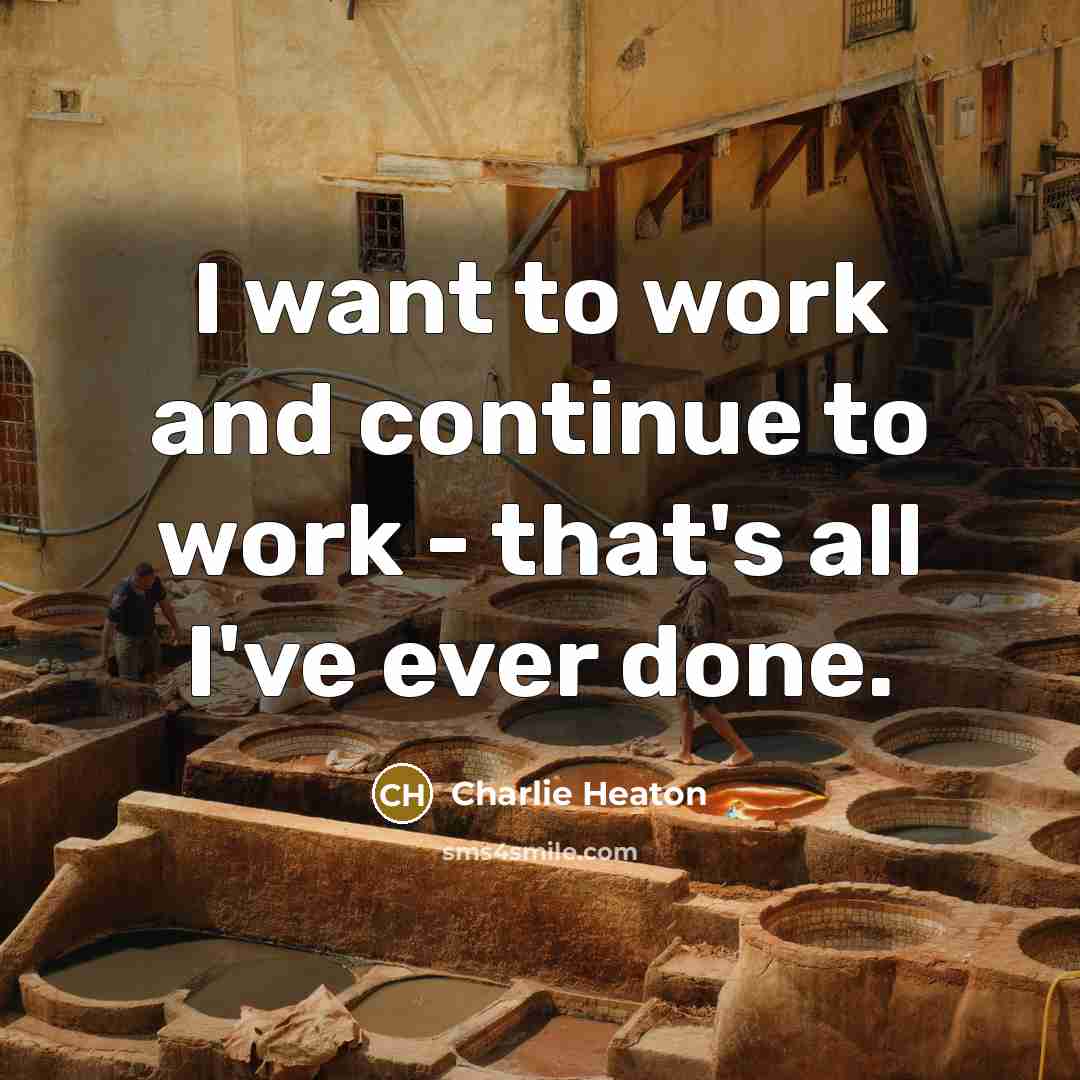 “I want to work and continue to work - that's all I've ever done.” quote by Charlie Heaton
