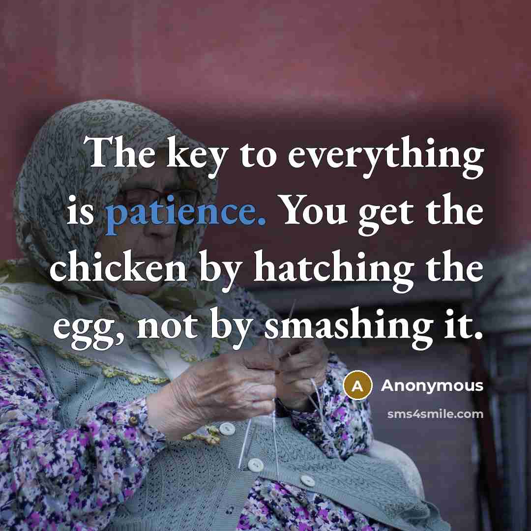 “The key to everything is patience. You get the chicken by hatching the egg, not by smashing it.” quote by Anonymous