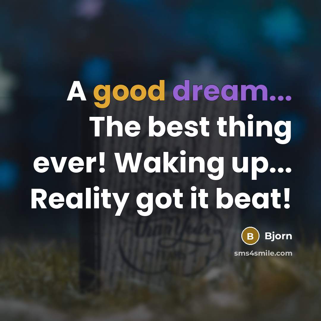 “A good dream... The best thing ever! Waking up... Reality got it beat!” quote by Bjorn