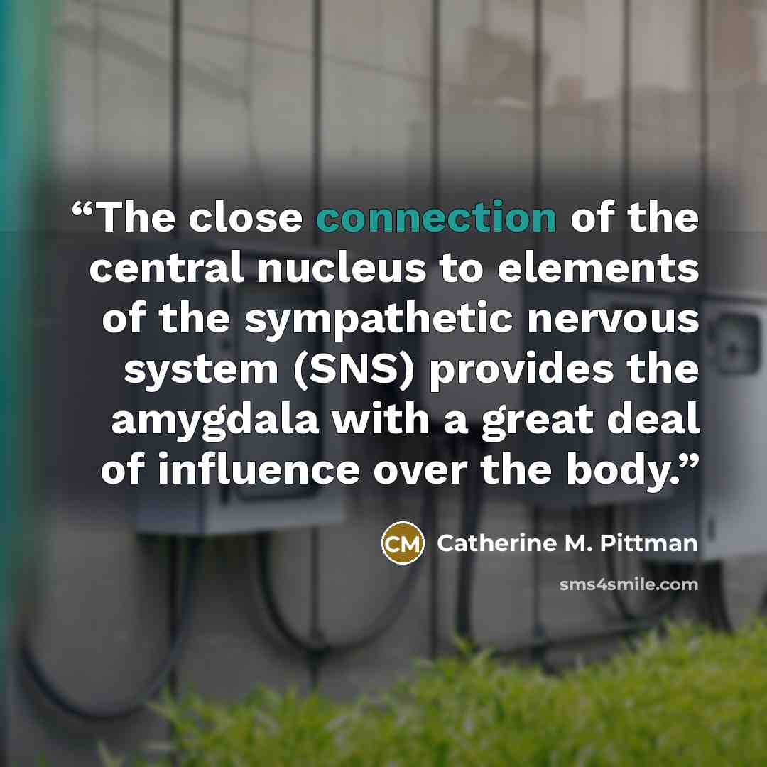 “The close connection of the central nucleus to elements of the sympathetic nervous system (SNS) provides the amygdala with a great deal of influence over the body.” quote by Catherine M. Pittman