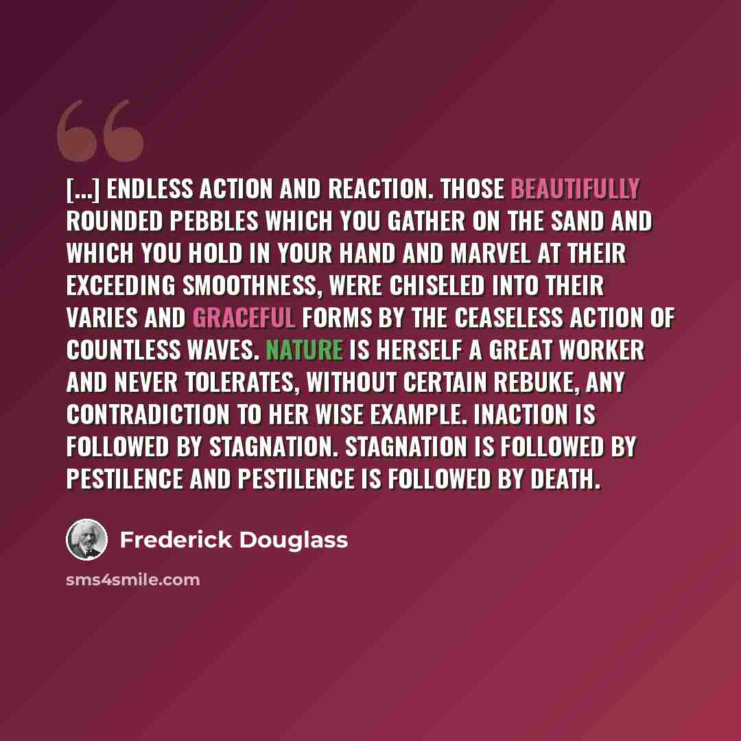 “[...] endless action and reaction. Those beautifully rounded pebbles which you gather on the sand and which you hold in your hand and marvel at their exceeding smoothness, were chiseled into their varies and graceful forms by the ceaseless action of countless waves. Nature is herself a great…” quote by Frederick Douglass
