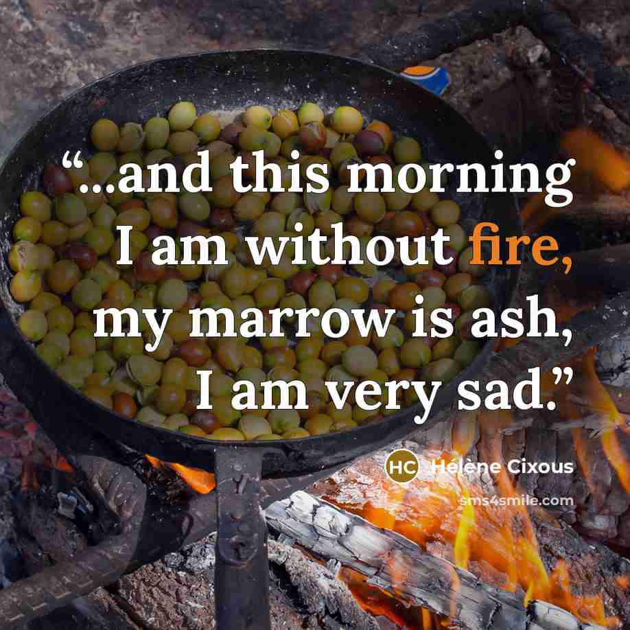 “...and this morning I am without fire, my marrow is ash, I am very sad.” quote by Hélène Cixous