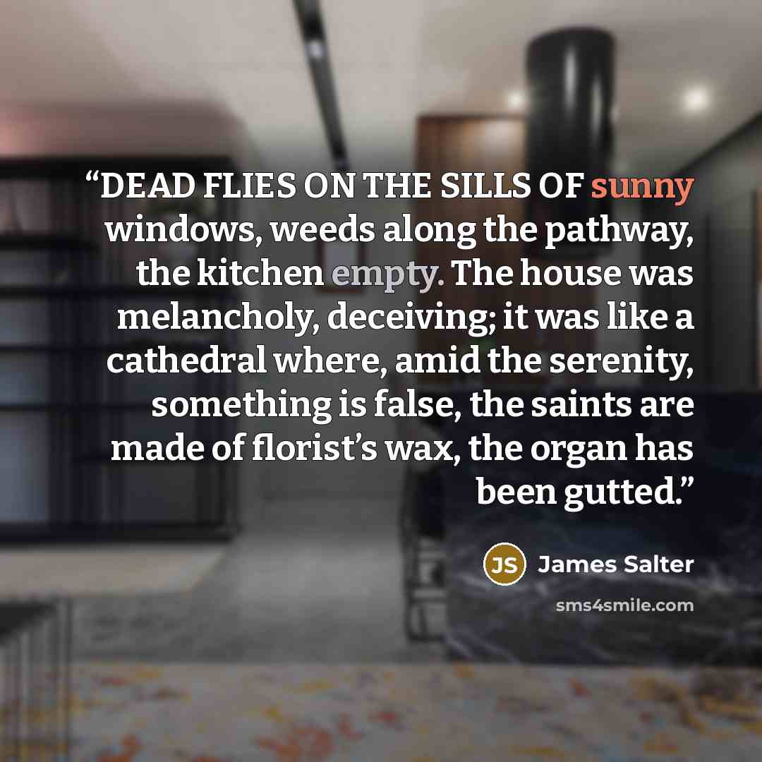 “DEAD FLIES ON THE SILLS OF sunny windows, weeds along the pathway, the kitchen empty. The house was melancholy, deceiving; it was like a cathedral where, amid the serenity, something is false, the saints are made of florist’s wax, the organ has been gutted.” quote by James Salter