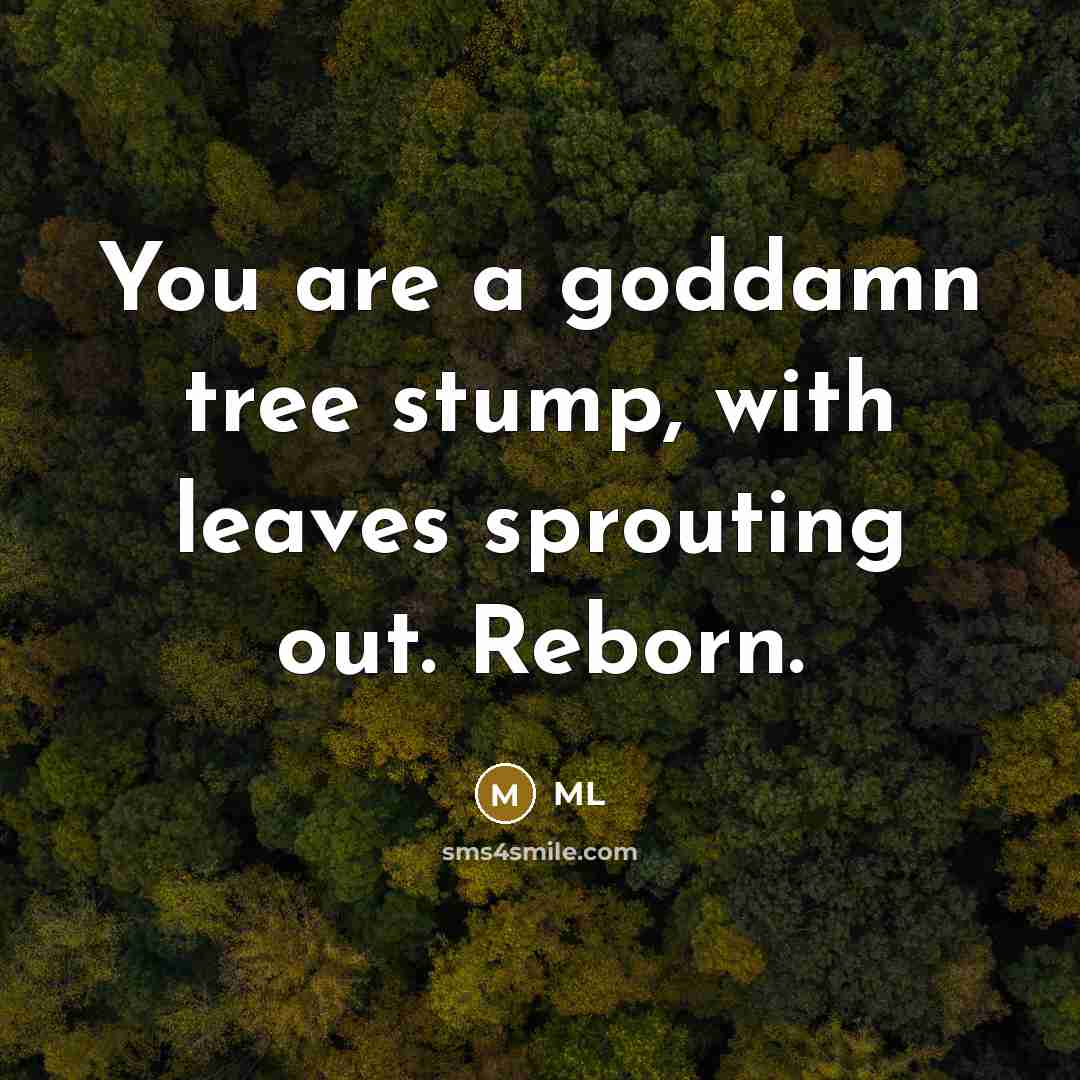 “You are a goddamn tree stump, with leaves sprouting out. Reborn.” quote by ML