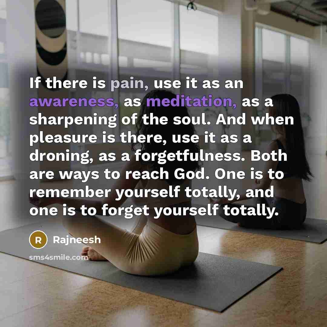 “If there is pain, use it as an awareness, as meditation, as a sharpening of the soul. And when pleasure is there, use it as a droning, as a forgetfulness. Both are ways to reach God. One is to remember yourself totally, and one is to forget yourself totally.” quote by Rajneesh