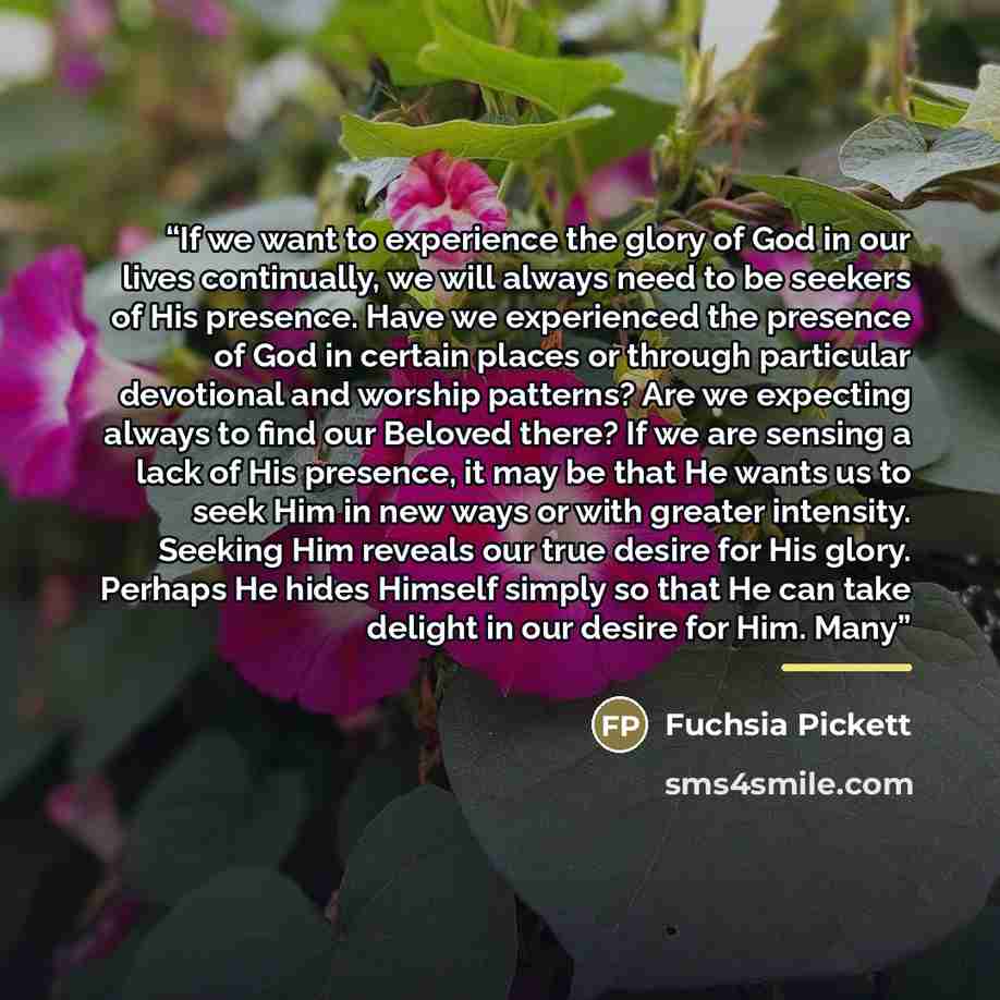 “If we want to experience the glory of God in our lives continually, we will always need to be seekers of His presence. Have we experienced the presence of God in certain places or through particular devotional and worship patterns? Are we expecting always to find our Beloved there? If we are…” quote by Fuchsia Pickett