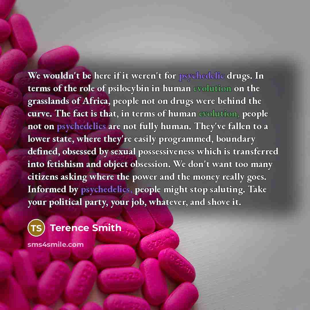 “We wouldn't be here if it weren't for psychedelic drugs. In terms of the role of psilocybin in human evolution on the grasslands of Africa, people not on drugs were behind the curve. The fact is that, in terms of human evolution, people not on psychedelics are not fully human. They've fallen to a…” quote by Terence Smith