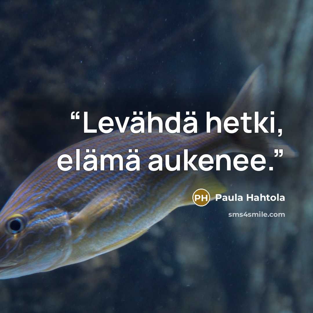 “Levähdä hetki, elämä aukenee.” quote by Paula Hahtola