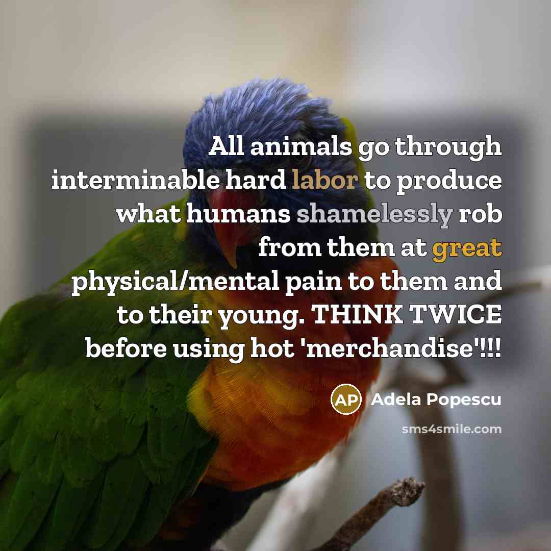 “All animals go through interminable hard labor to produce what humans shamelessly rob from them at great physical/mental pain to them and to their young. THINK TWICE before using hot 'merchandise'!!!” quote by Adela Popescu