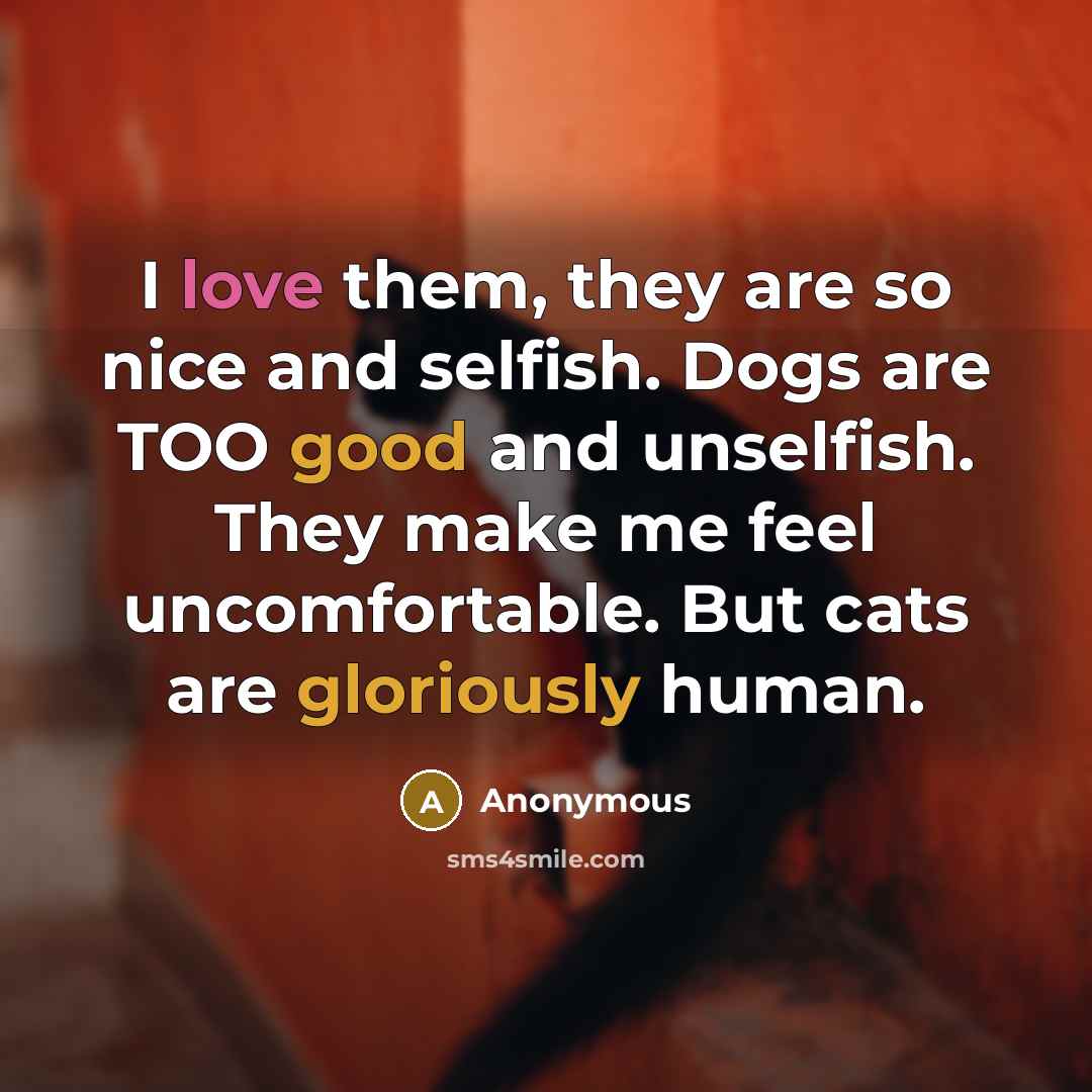 “I love them, they are so nice and selfish. Dogs are TOO good and unselfish. They make me feel uncomfortable. But cats are gloriously human.” quote by Anonymous