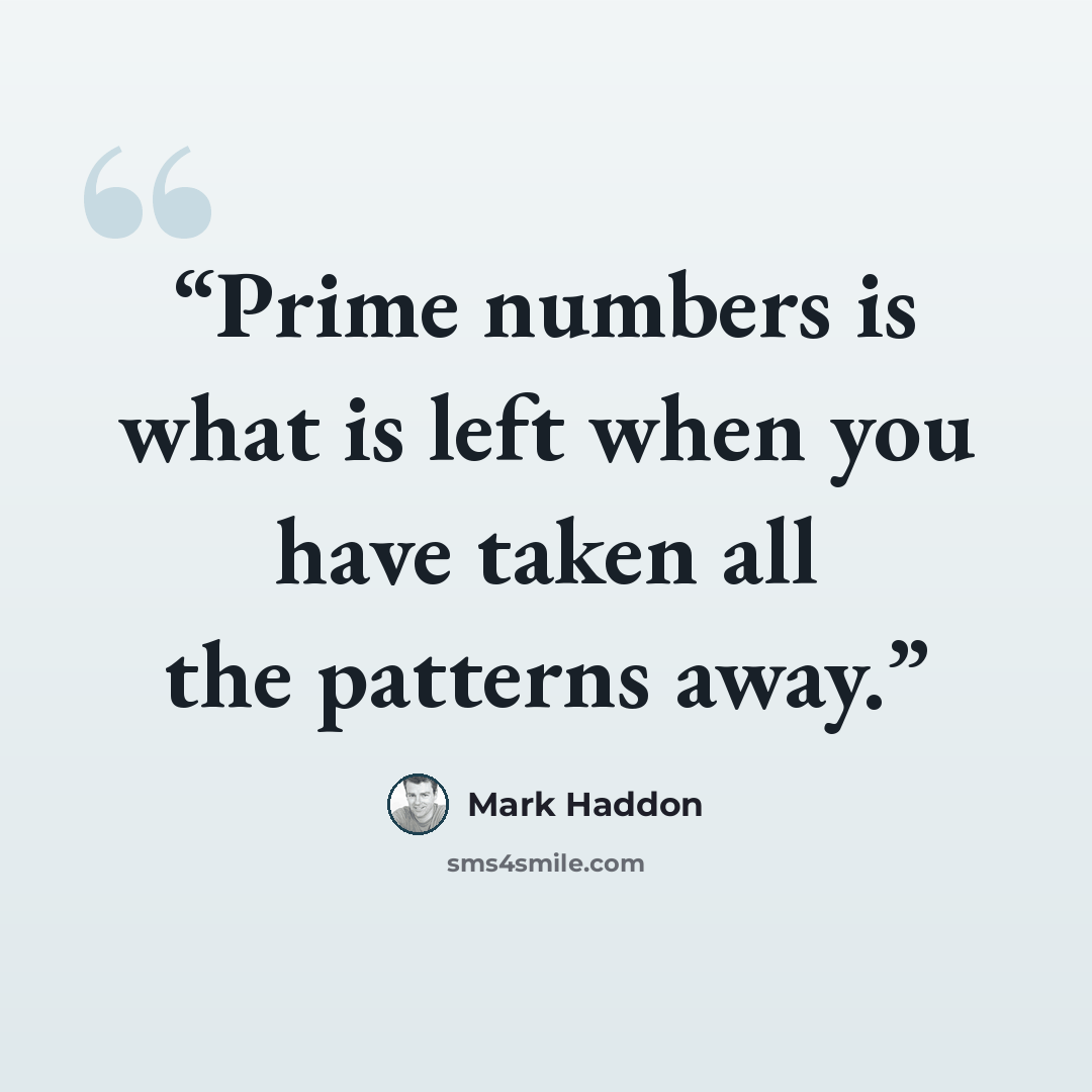 “Prime numbers is what is left when you have taken all the patterns away.” quote by Mark Haddon
