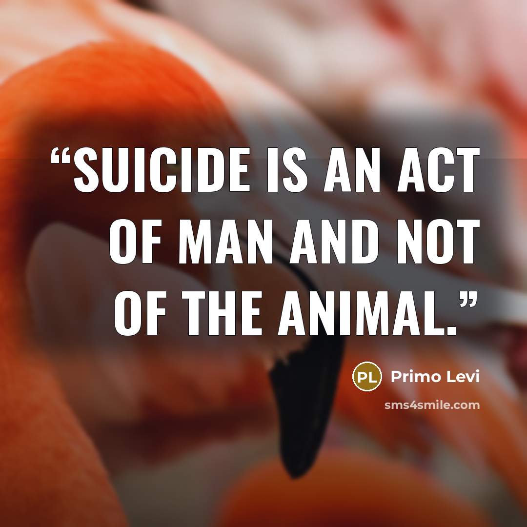 “Suicide is an act of man and not of the animal.” quote by Primo Levi
