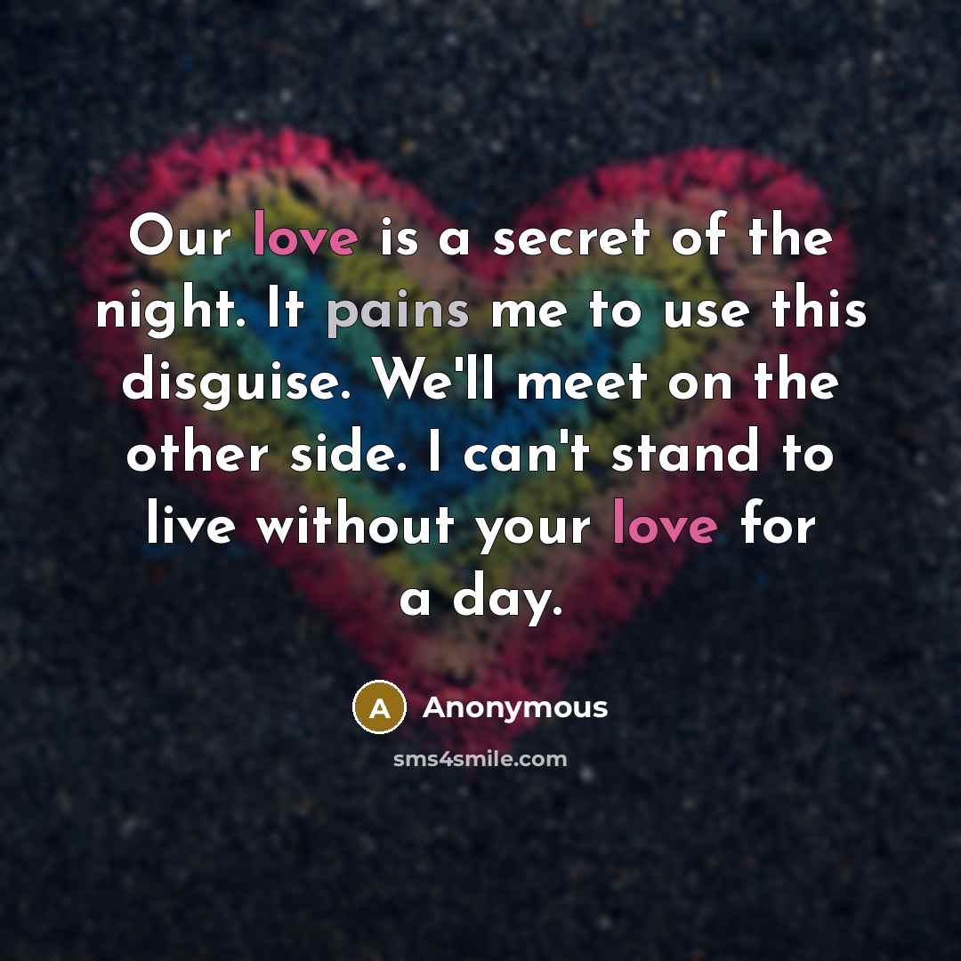 “Our love is a secret of the night. It pains me to use this disguise. We'll meet on the other side. I can't stand to live without your love for a day.” quote by Anonymous