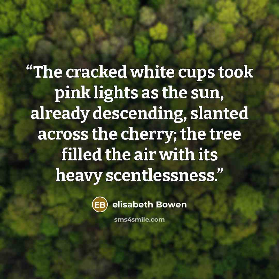 “The cracked white cups took pink lights as the sun, already descending, slanted across the cherry; the tree filled the air with its heavy scentlessness.” quote by Elisabeth Bowen