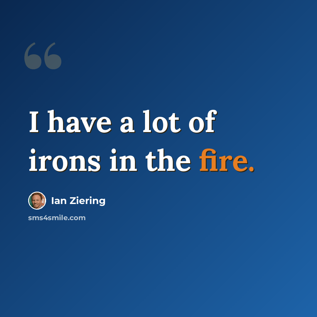 “I have a lot of irons in the fire.” quote by Ian Ziering