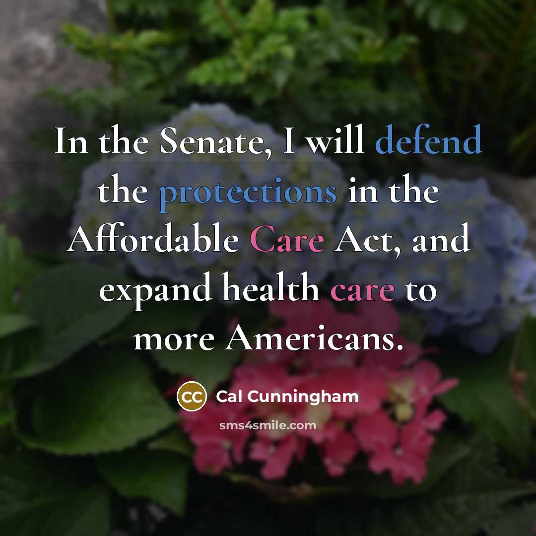 “In the Senate, I will defend the protections in the Affordable Care Act, and expand health care to more Americans.” quote by Cal Cunningham