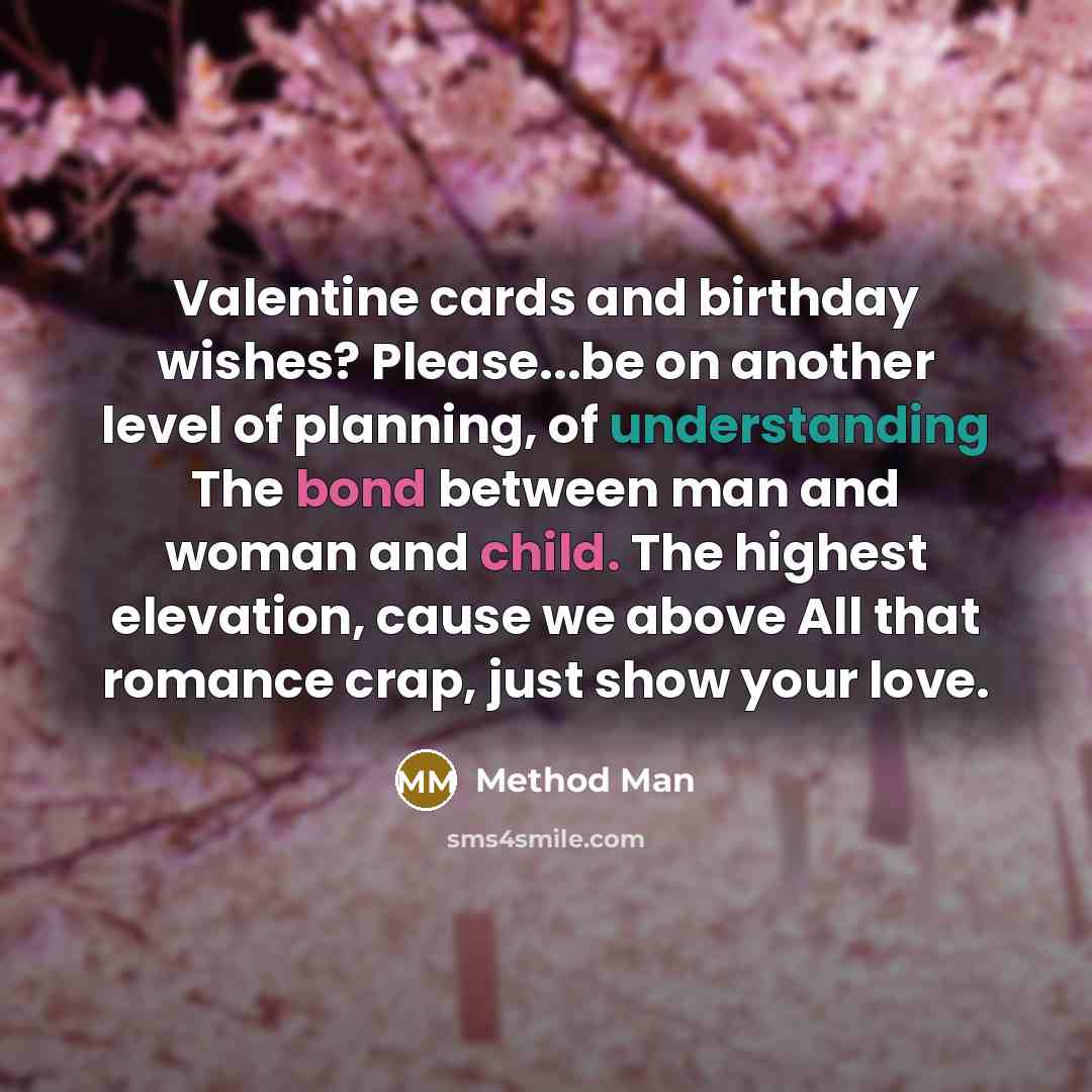 “Valentine cards and birthday wishes? Please...be on another level of planning, of understanding The bond between man and woman and child. The highest elevation, cause we above All that romance crap, just show your love.” quote by Method Man