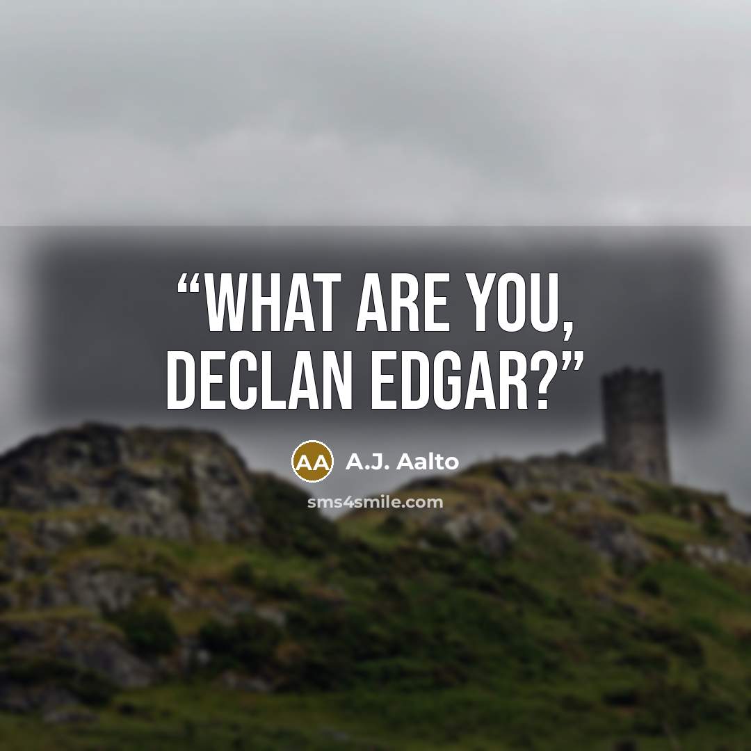 “What are you, Declan Edgar?” quote by A.J. Aalto
