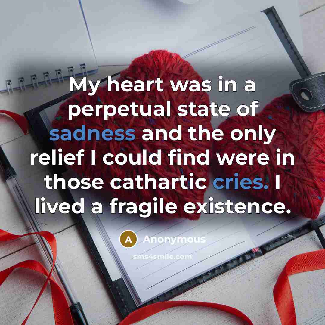 “My heart was in a perpetual state of sadness and the only relief I could find were in those cathartic cries. I lived a fragile existence.” quote by Anonymous