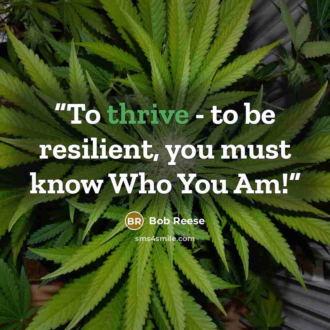 “To thrive - to be resilient, you must know Who You Am!” quote by Bob Reese