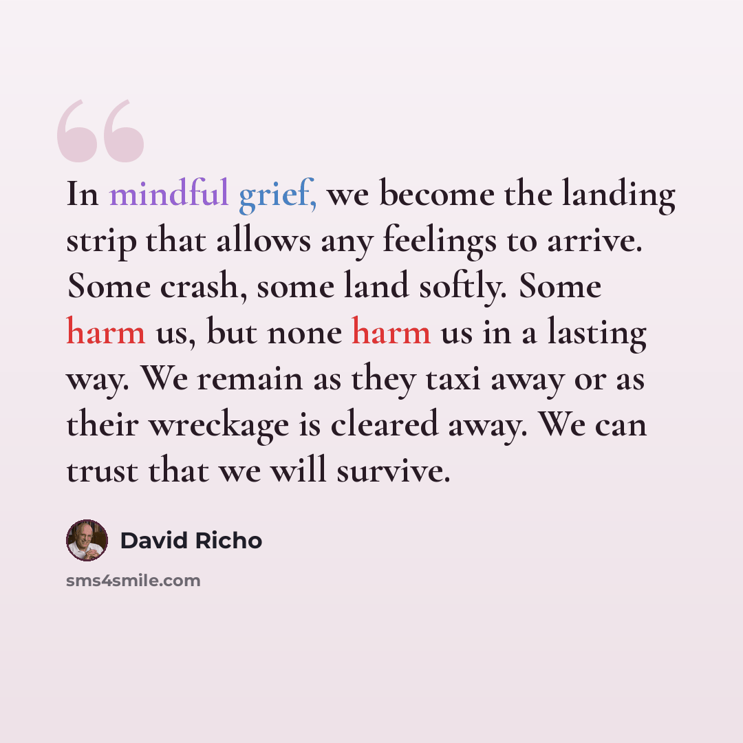 “In mindful grief, we become the landing strip that allows any feelings to arrive. Some crash, some land softly. Some harm us, but none harm us in a lasting way. We remain as they taxi away or as their wreckage is cleared away. We can trust that we will survive.” quote by David Richo