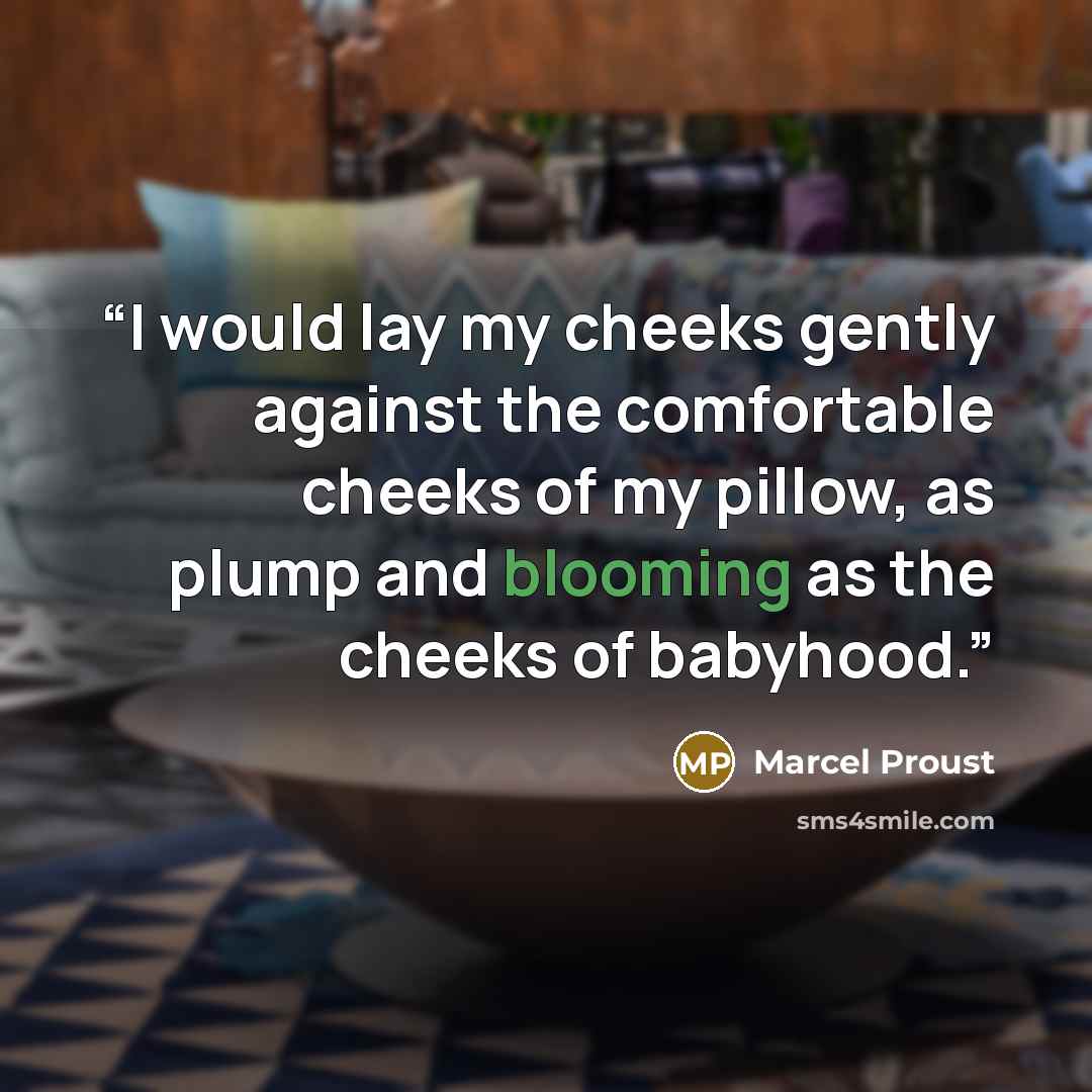 “I would lay my cheeks gently against the comfortable cheeks of my pillow, as plump and blooming as the cheeks of babyhood.” quote by Marcel Proust